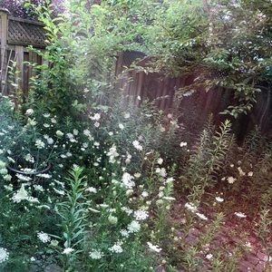 Meet your Posher, Gabriele